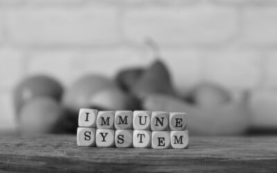 The Link Between the Immune System and Healthy Fats