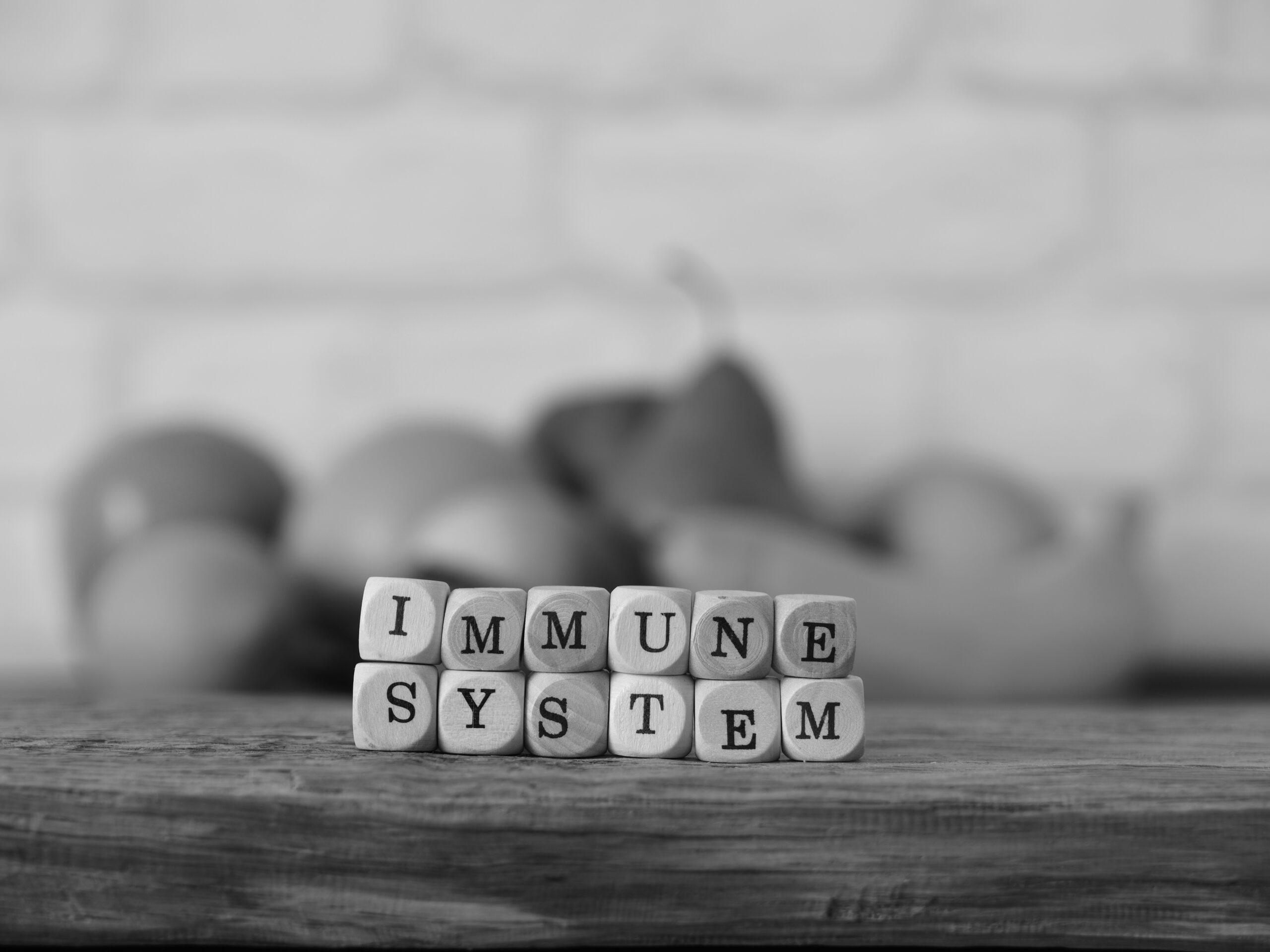 The words immune system on small wooden blocks, healthy eating c